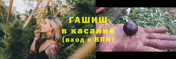 индика Протвино
