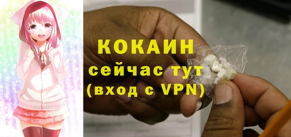 индика Протвино