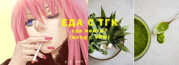 индика Протвино