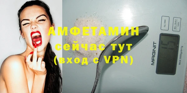 индика Протвино