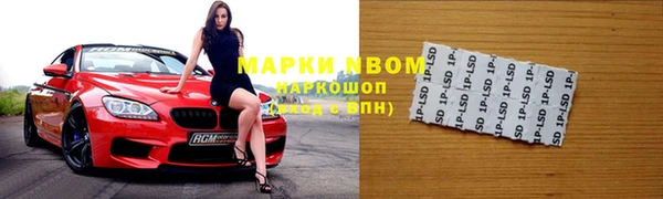 индика Протвино