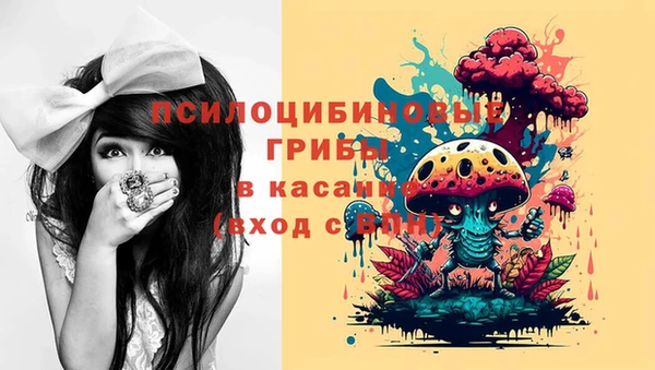 индика Протвино