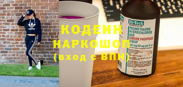 индика Протвино