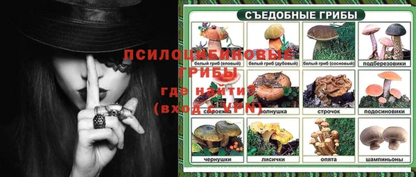 индика Протвино