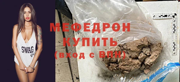индика Протвино