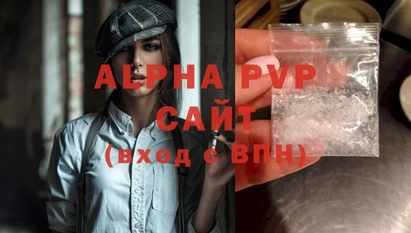 молекула духа Приозерск