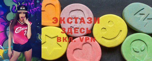 индика Протвино