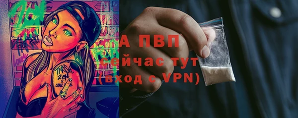 молекула духа Приозерск