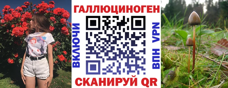 Псилоцибиновые грибы Magic Shrooms  Купить где  Первомайск 